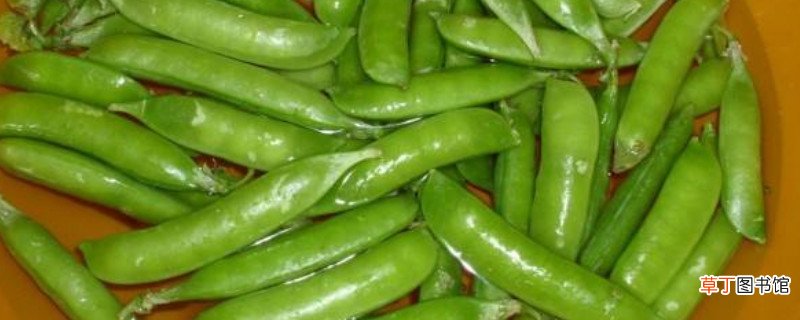 豌豆角煮多长时间能熟