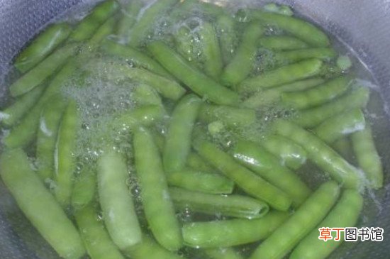 豌豆角煮多长时间能熟