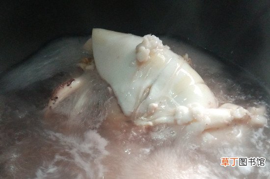 鱿鱼怎么煮