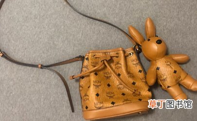 MCM菜篮子和水桶包哪个值得入手