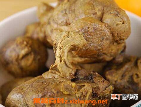 蜂胶的副作用有哪些 女性经常吃蜂胶的害处