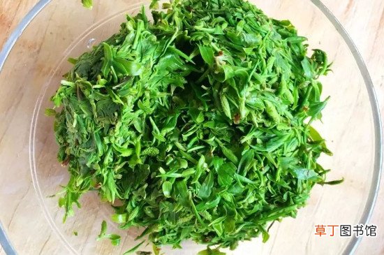 柳芽不能和什么一起吃
