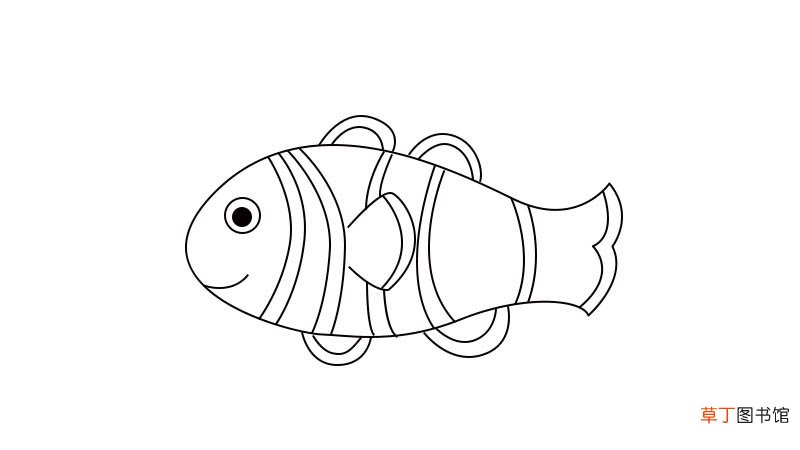 小丑鱼简笔画 小丑鱼简笔画步骤