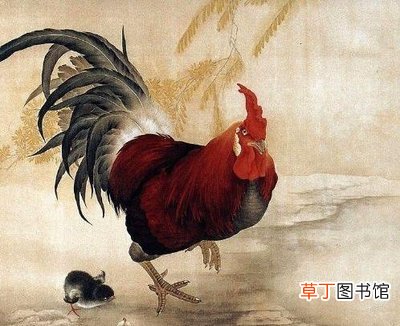 属鸡的2021年运势如何 2021年生肖运势属鸡
