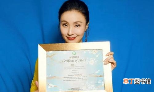 陶虹说不是会哭就叫好演员,谈到天价片酬德不配位
