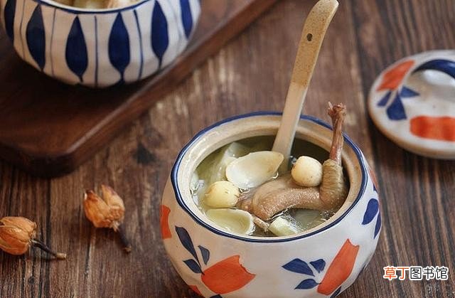 怎么清炖鸽子汤好吃有营养 清炖鸽子汤的正确炖法