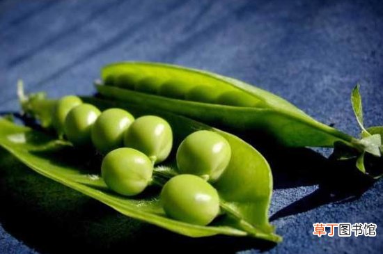 豌豆外壳发霉了还能吃吗