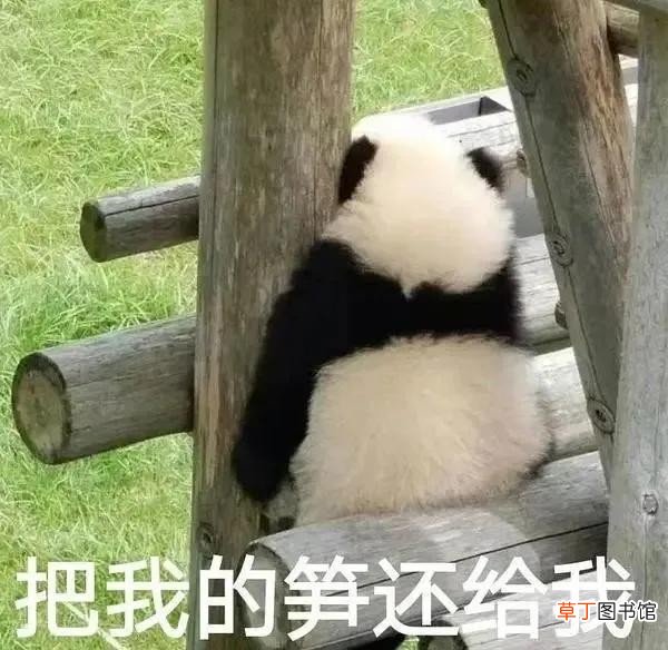 2021十大流行语新鲜出炉 网络用语耗子尾汁是什么意思