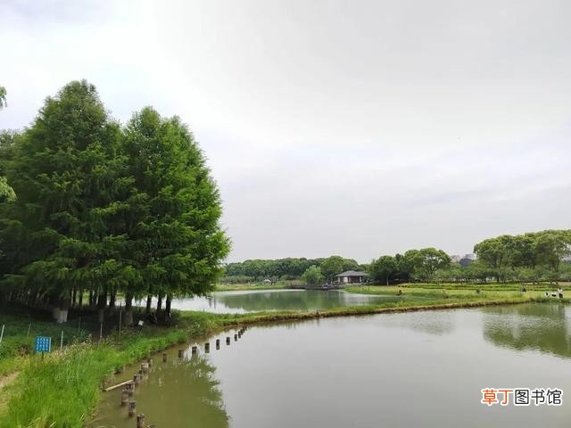 一个因大闸蟹而闻名的淡水湖 阳澄湖大闸蟹在哪里