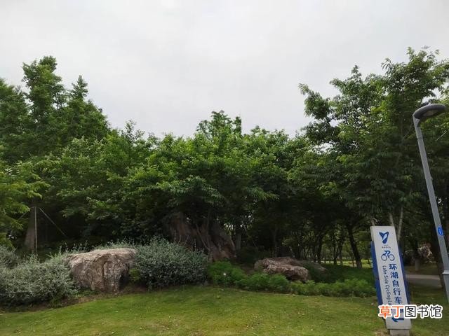 一个因大闸蟹而闻名的淡水湖 阳澄湖大闸蟹在哪里