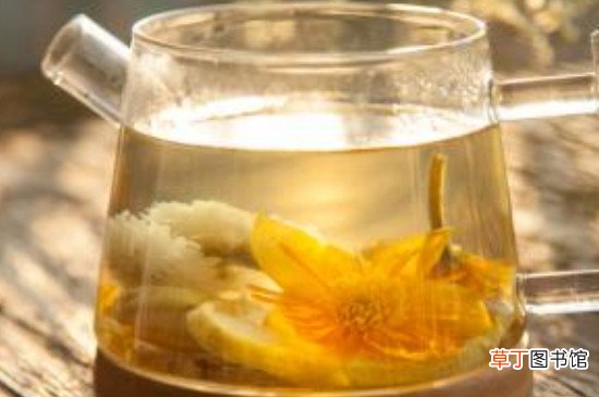 胎菊泡水喝的9大禁忌