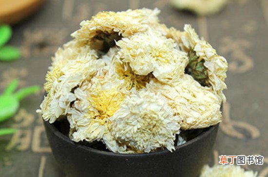 胎菊泡水喝的9大禁忌