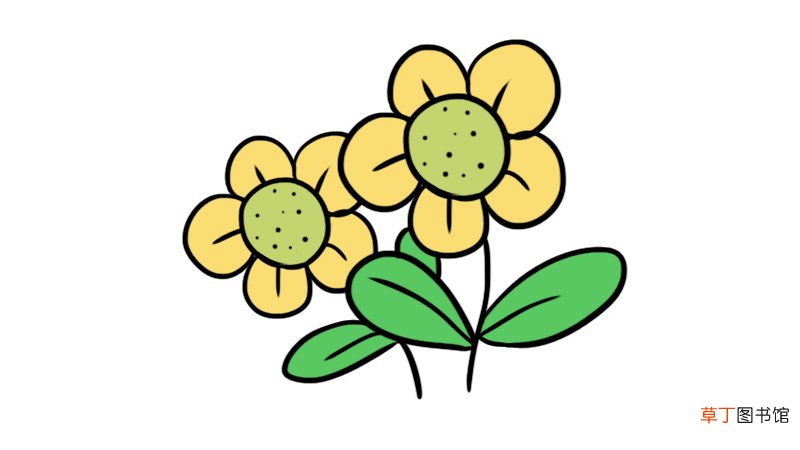 花卉简笔画
