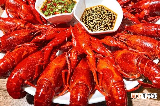 蚕豆可以和龙虾一起吃吗