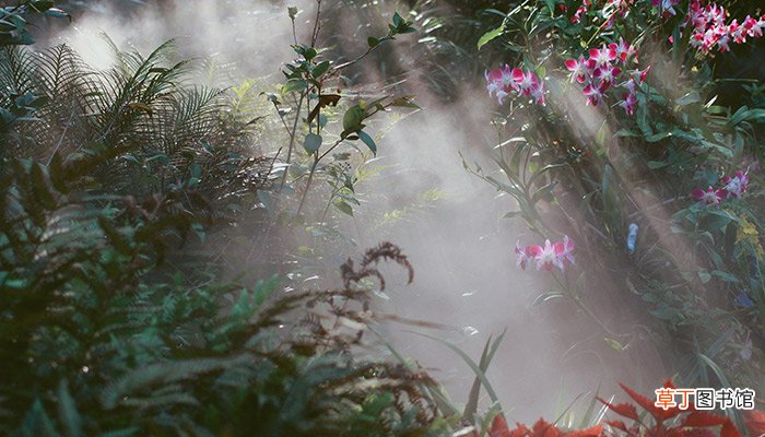 万石植物园在哪 万石植物园的位置