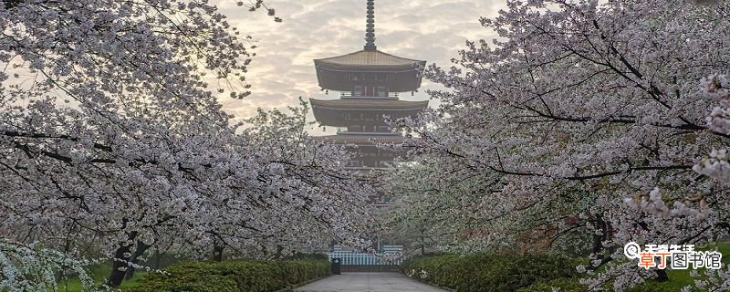 包头市春季赏花去哪里 推荐包头市春季赏花景点