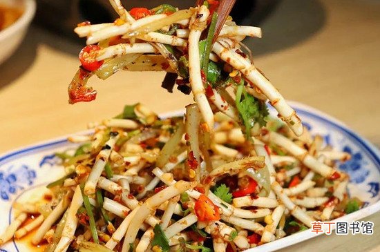 鱼腥草不能和什么一起吃