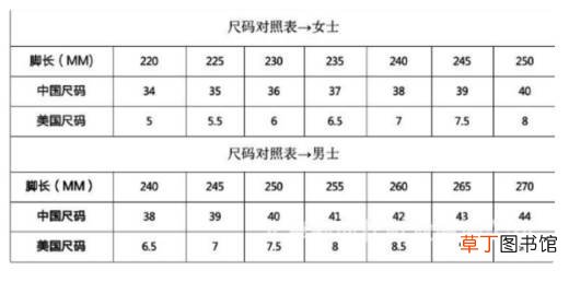 265是多大码的鞋