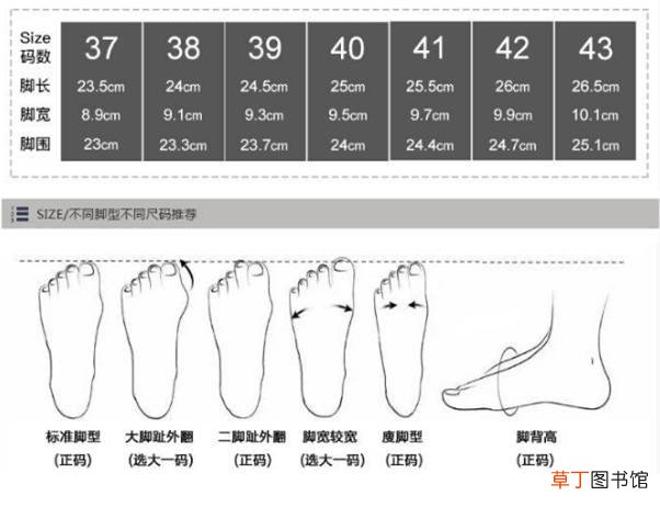 265是多大码的鞋