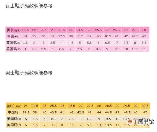 6码是多大的鞋