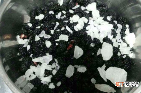 桑葚怎样熬成桑葚酱