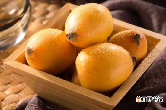 琵琶皮能吃么