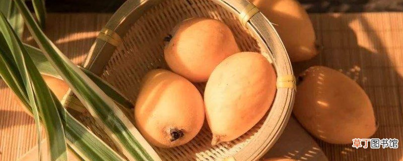 琵琶皮能吃么