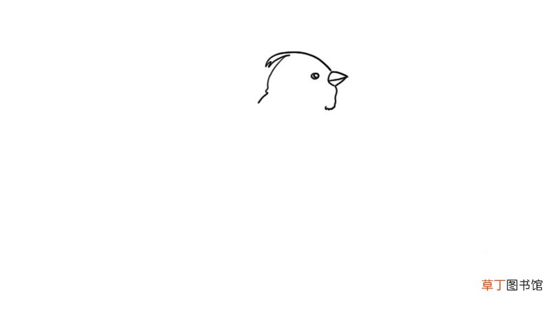 麻雀简笔画 麻雀简笔画怎么画