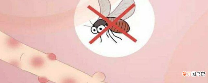 被蚊子咬了可以用酒精消毒吗