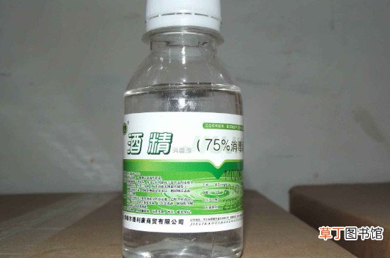 内裤可以用酒精消毒吗