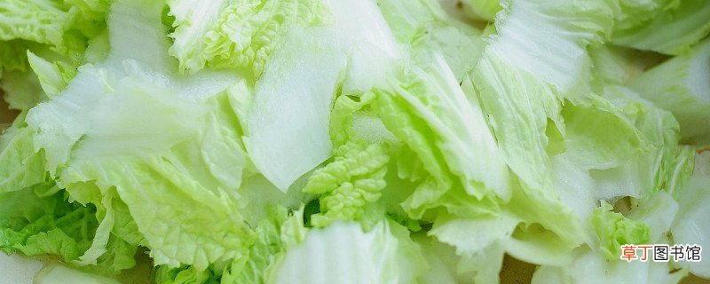 白菜和西红柿能一起吃吗