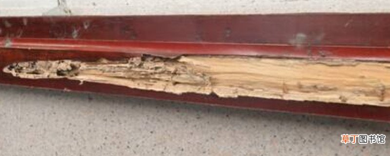 门框被白蚁蛀空了可以补吗