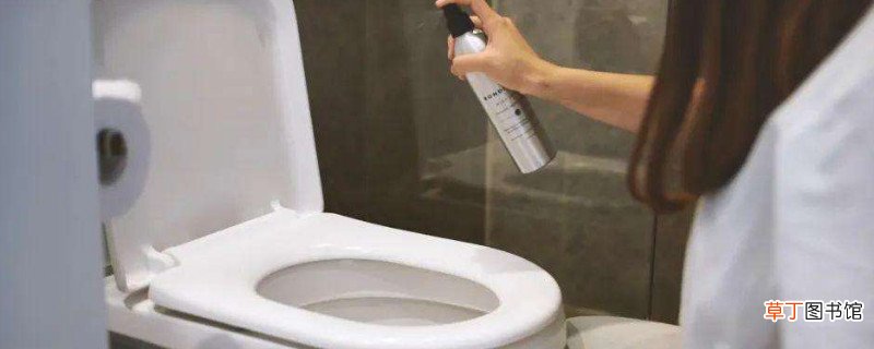 马桶里有飞虫怎么消灭