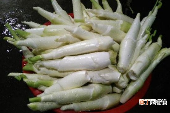 茭白什么人不能吃
