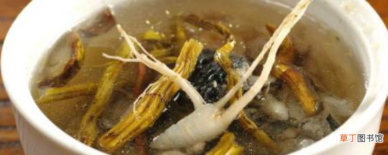 石斛花旗参炖鸡汤功效