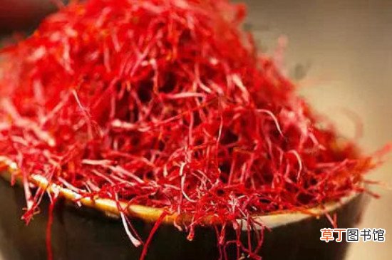 藏红花可以和蜂蜜一起泡水喝吗?