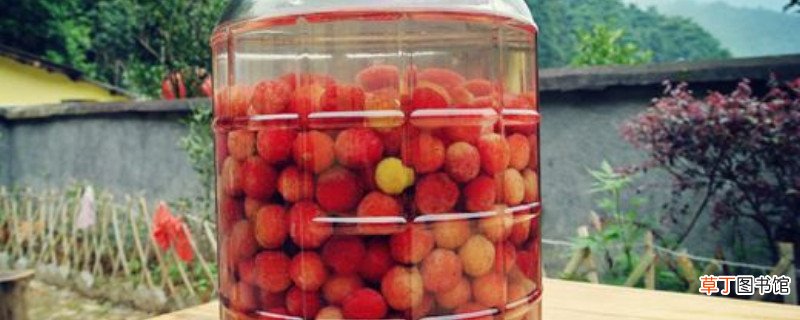 杨梅可以和枸杞子一起泡酒吗