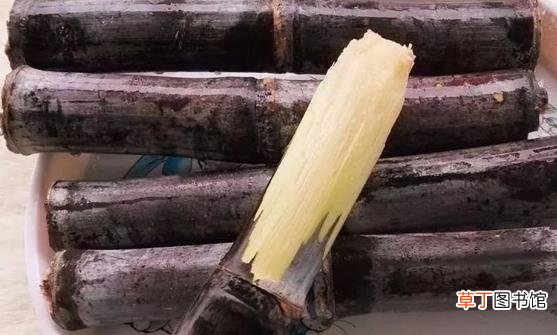 秋日的甘蔗赛过参 甘蔗的花样新吃法