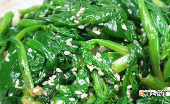 菠菜的营养价值 激活大脑功能增强青春活力