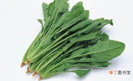 菠菜的营养价值 激活大脑功能增强青春活力