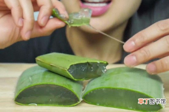 芦荟生吃的功效和作用