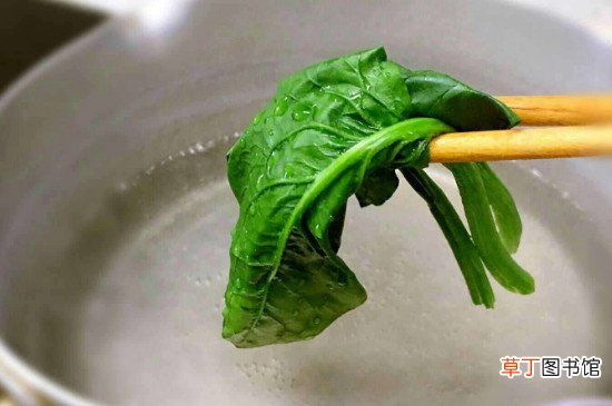 菠菜必须焯水才能吃吗