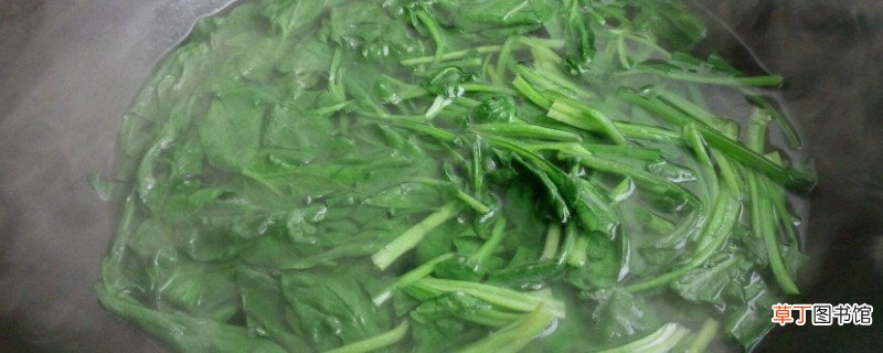 菠菜必须焯水才能吃吗