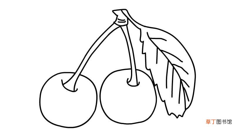 樱桃简笔画 樱桃简笔画怎么画