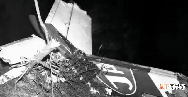 72年高空坠落存活世界纪录 万米高空坠落幸存者