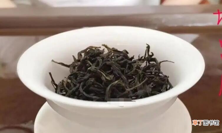 潮州单丛茶是什么茶