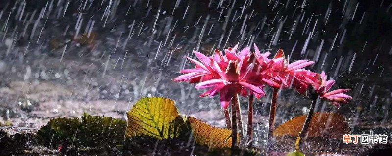 梅雨季节一般持续多久