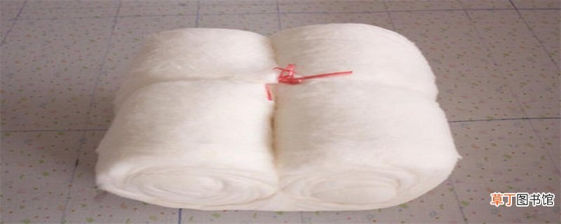 精梳棉是什么面料
