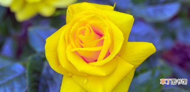 女生节很酷的个性说说 女神节霸气的句子简短