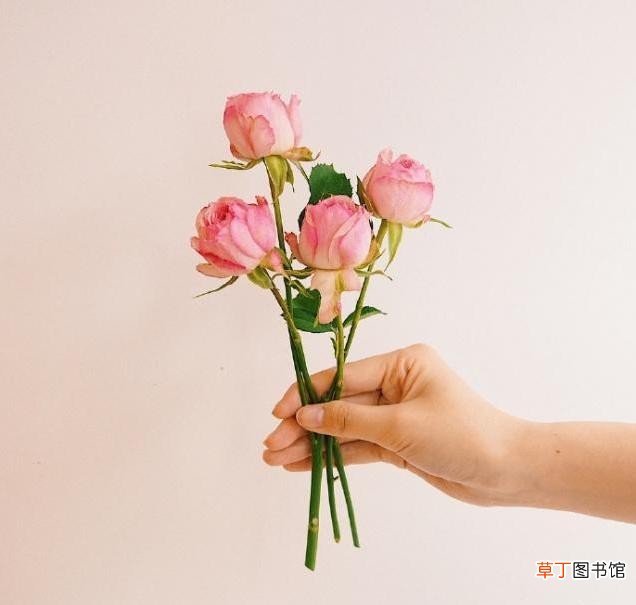 朋友圈很棒的圣诞节祝福语 圣诞新年祝福语简短
